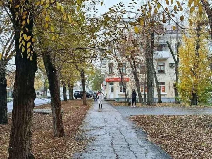 Помещение свободного назначения Советской Армии улица, 206