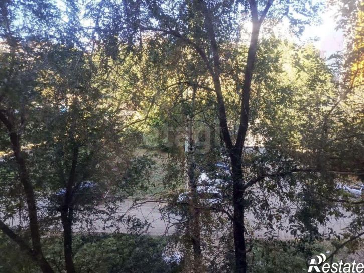 1-комн квартира улица Дыбенко, 124,  д. 124