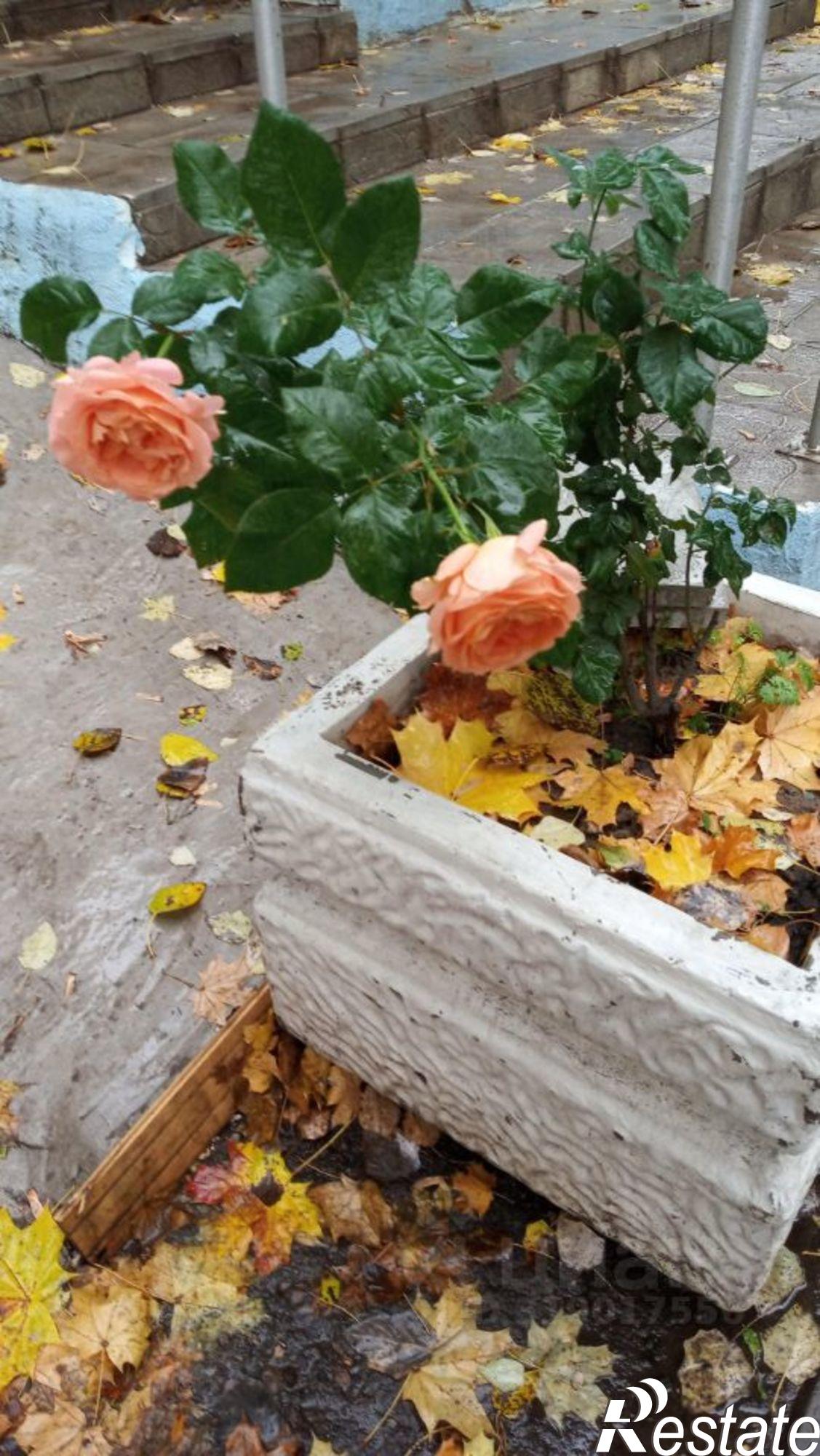 Купить квартиру за 7 100 000 рублей на ул Клиническая, 26