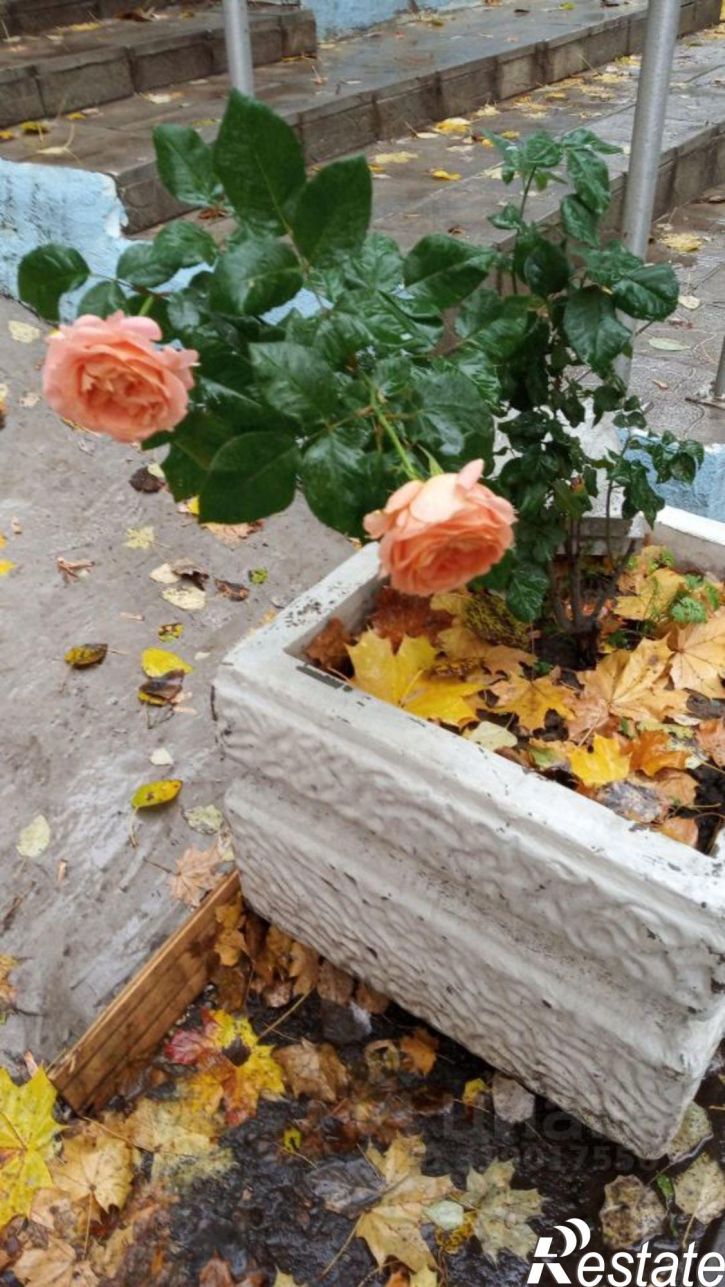 2-комн квартира ул Клиническая, 26,  д. 26