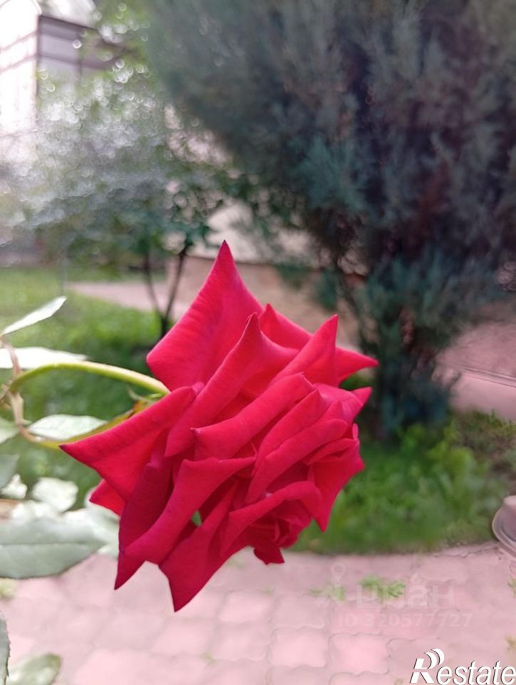 Коттедж/дом 7-я просека, 55А,  д. 55А