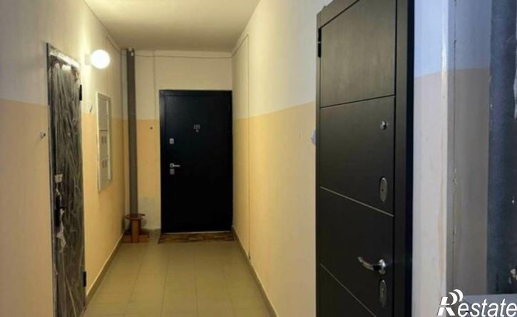 1-комн квартира ул Василия Татищева, 9А,  д. 9А