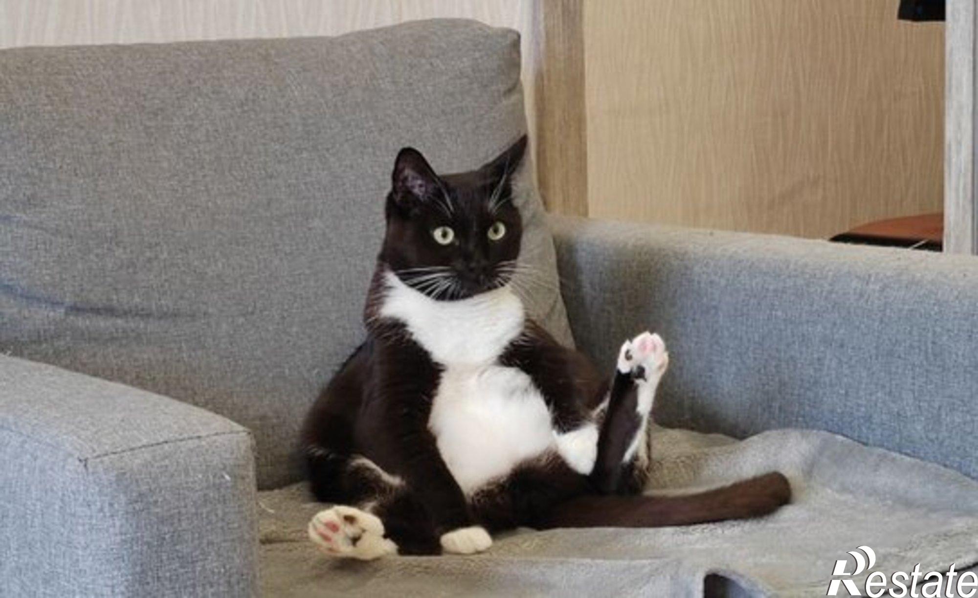 Купить квартиру за 3 300 000 рублей на ул Аэродромная, 65А