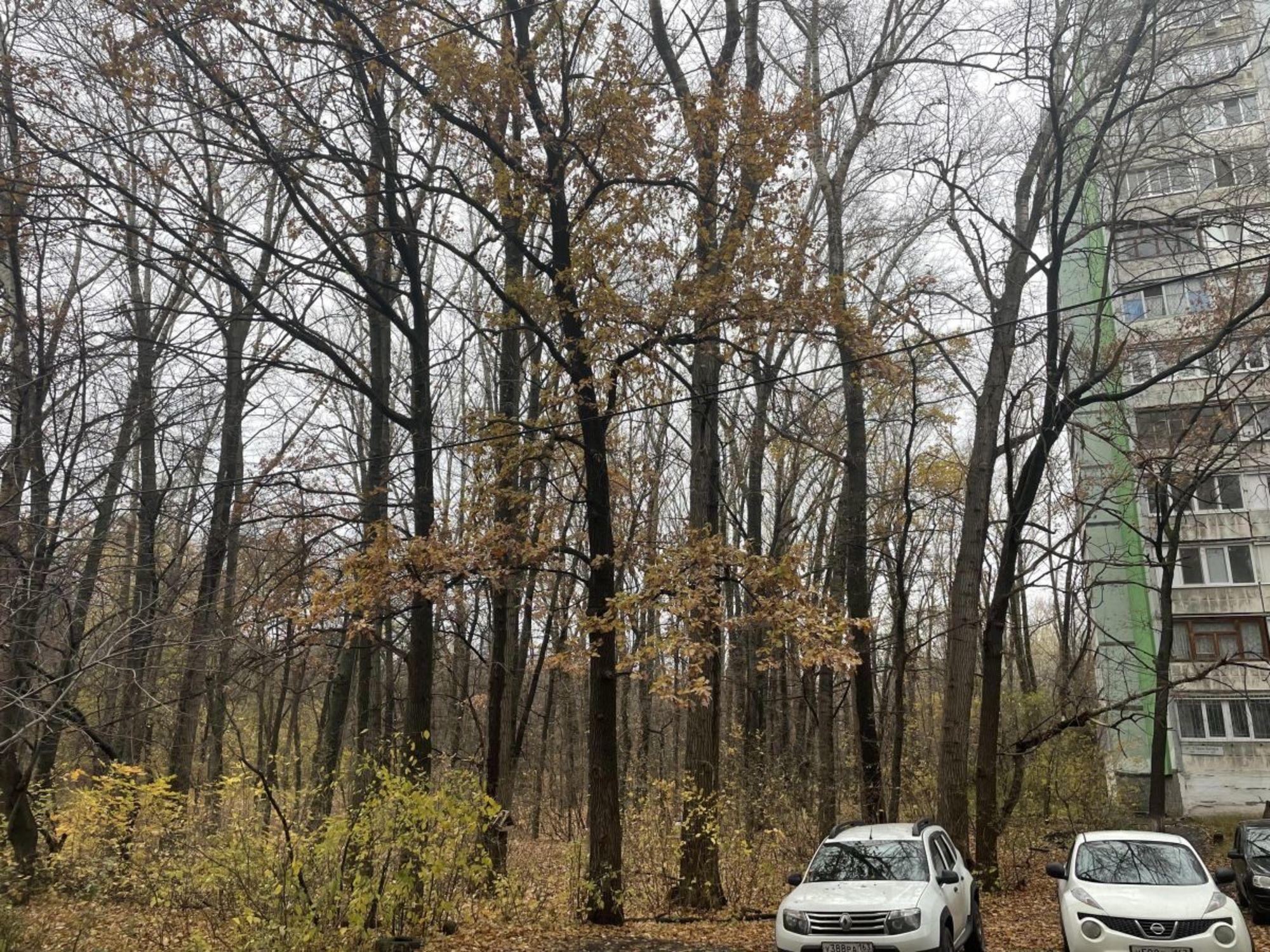 Купить квартиру за 6 550 000 рублей на Стара-Загора улица, 305