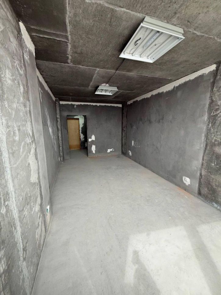 1-комн квартира Карла Маркса проспект, 244