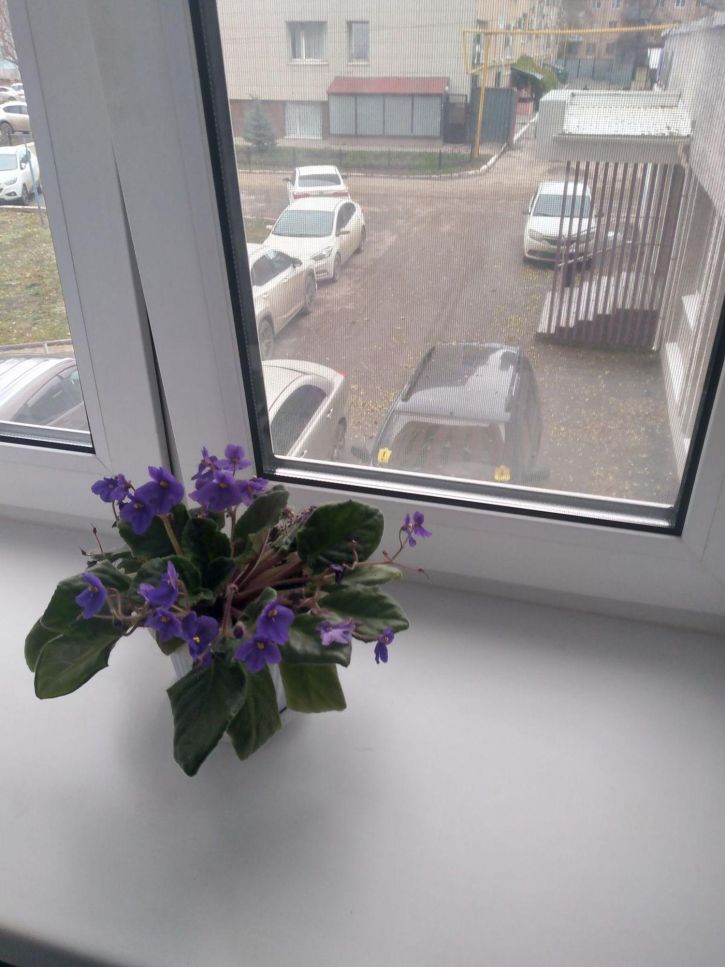 1-комн квартира Партизанская улица, 58