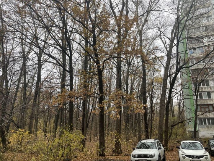 3-комн квартира Стара-Загора улица, 305