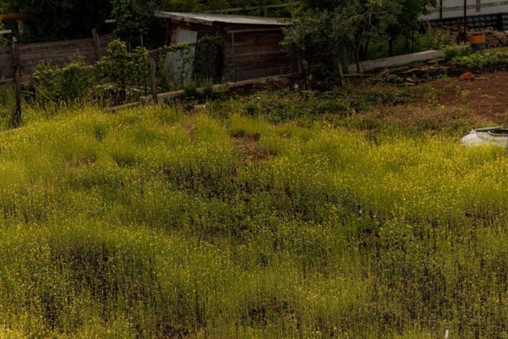 Земельный участок Пустынная улица, 40