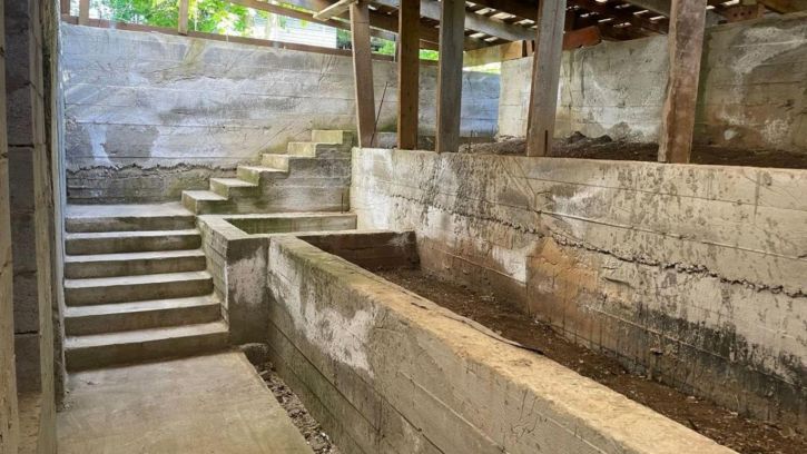 Коттедж/дом СДТ Ласточка, 4/46