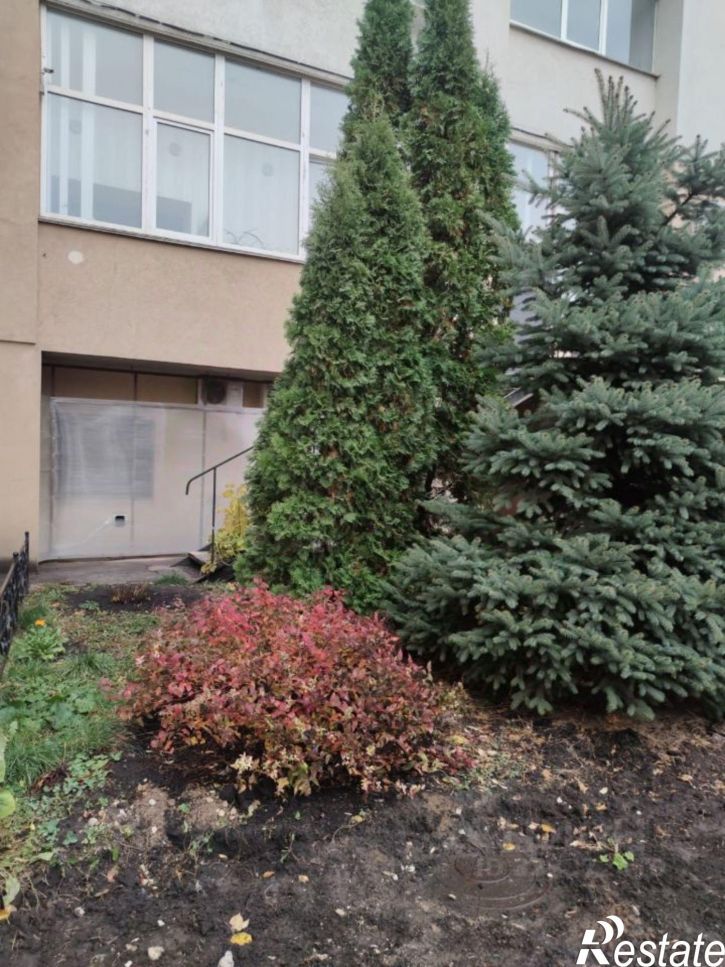 1-комн квартира проспект Карла Маркса, 55,  д. 55