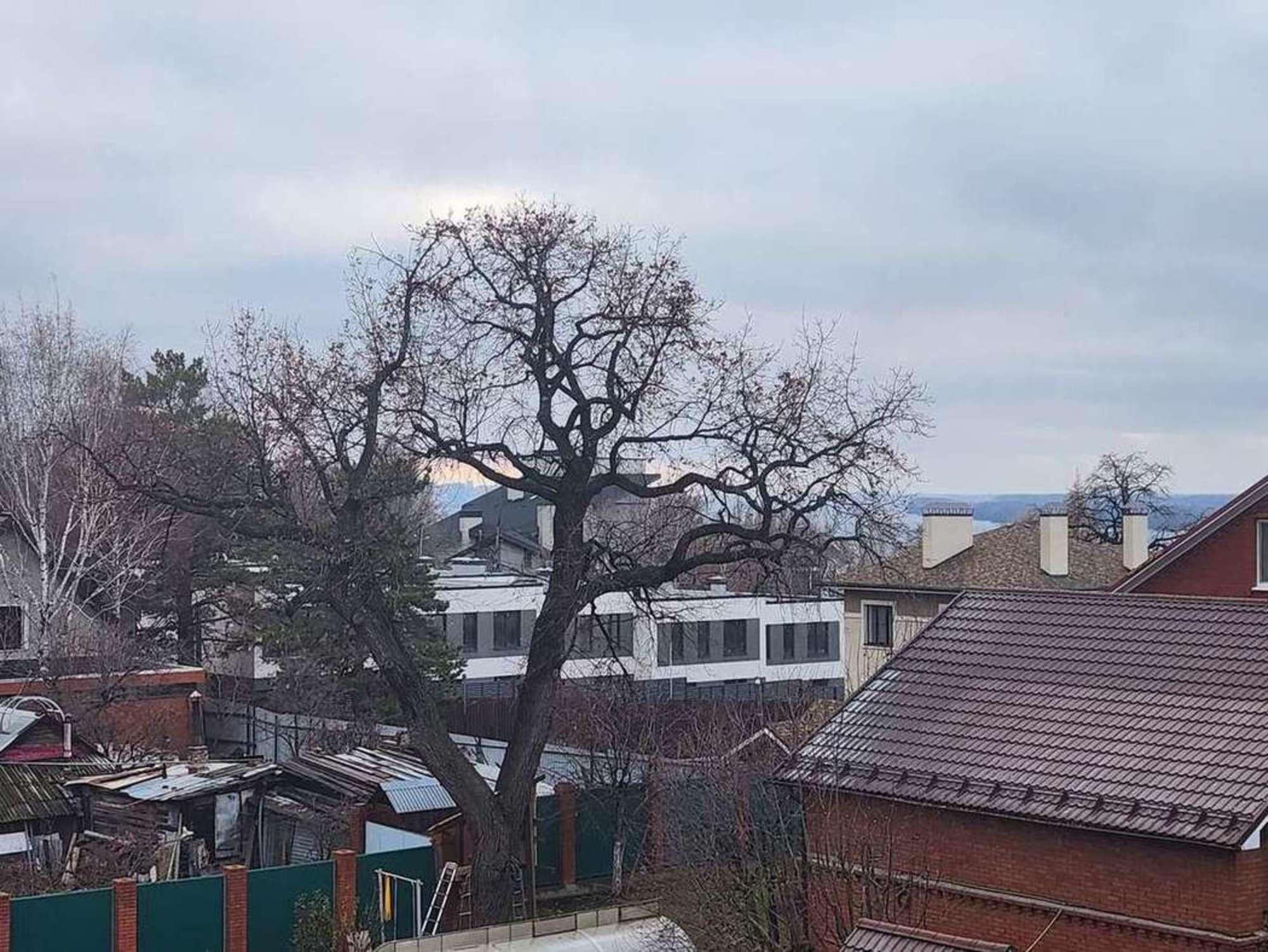 Купить дачу, дом, коттедж за 24 800 000 рублей на 1-я линия, 12