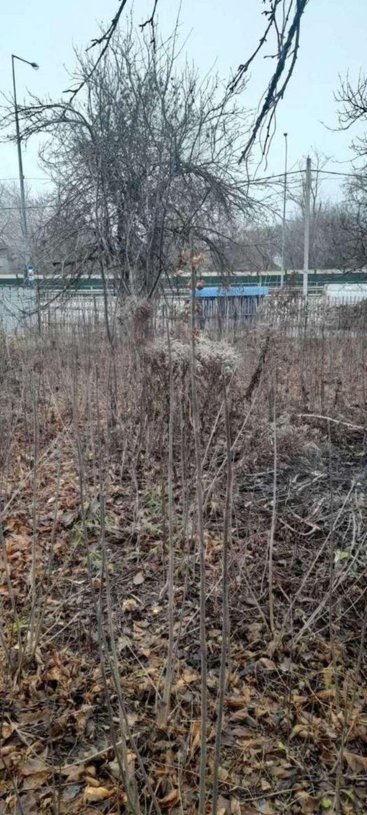 Земельный участок Дома ЭМО улица