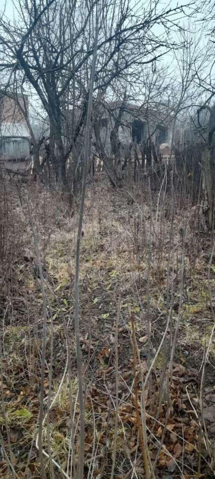 Земельный участок Дома ЭМО улица