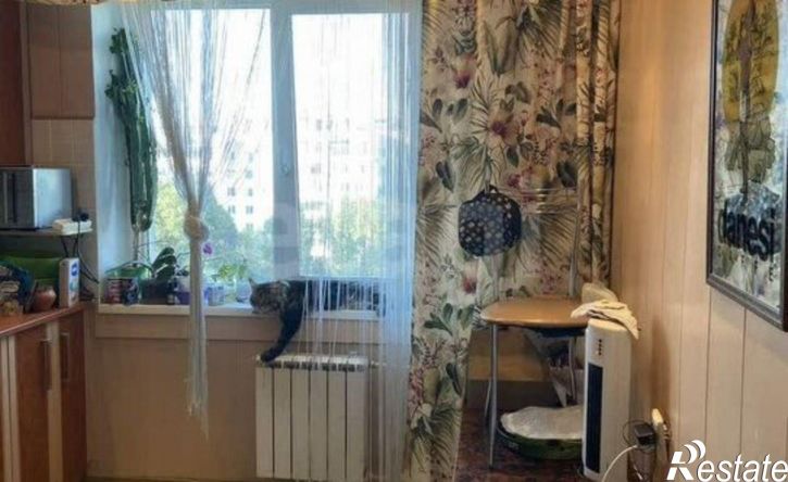 3-комн квартира ул Георгия Димитрова, 117а,  д. 117а