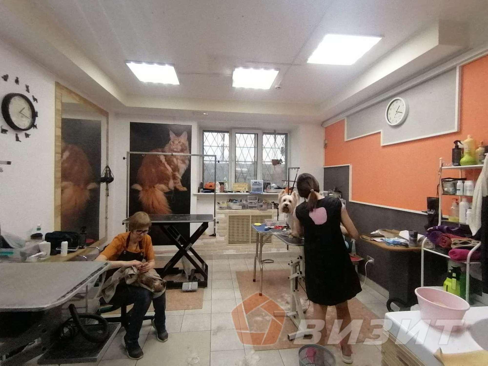 Купить торговое помещение за 13 000 000 рублей на Мичурина улица, 126