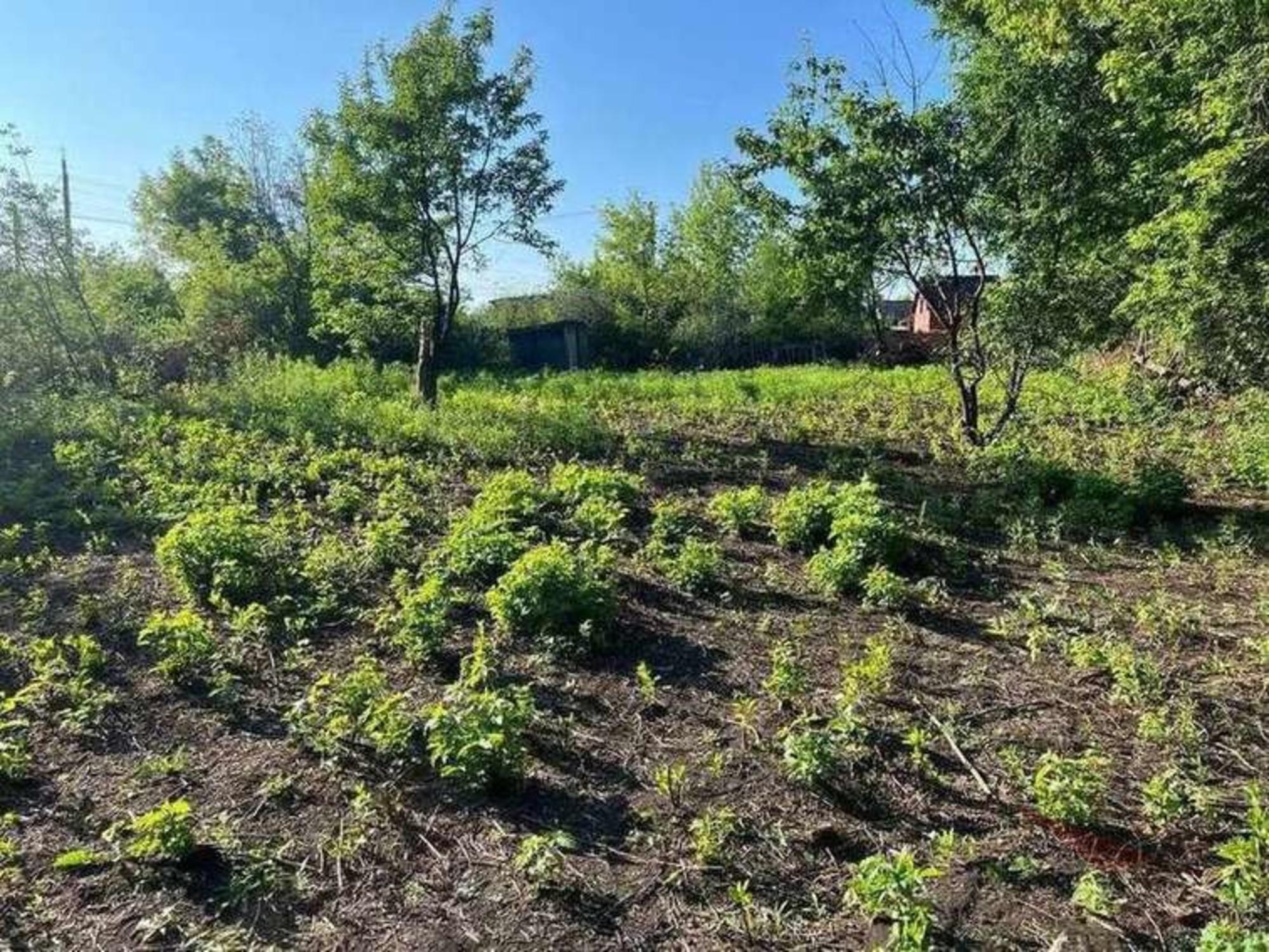 Купить землю, земельный участок за 1 150 000 рублей на посёлок станция Козелковская