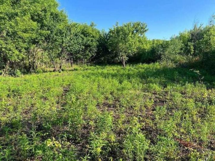 Земельный участок посёлок станция Козелковская