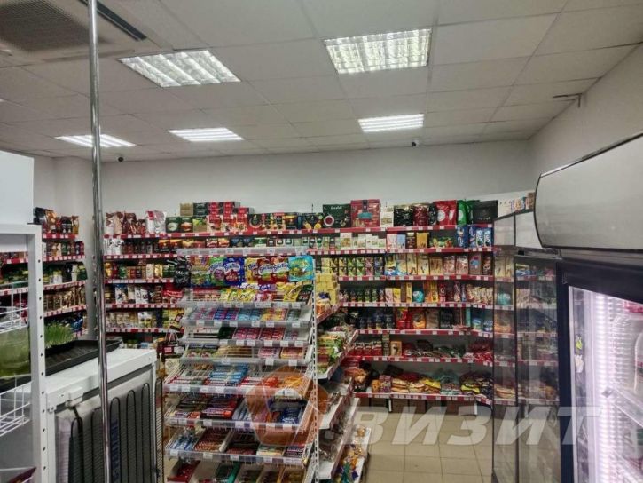 Торговое помещение Кирова проспект, 233