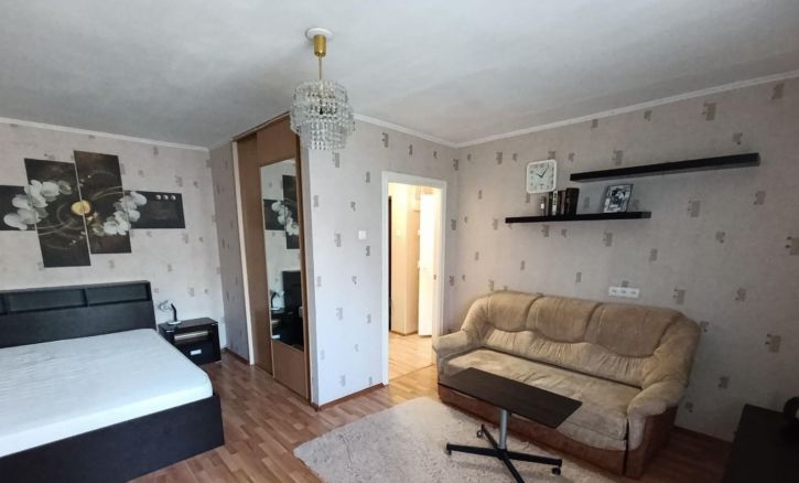 1-комн квартира Гастелло улица, 37