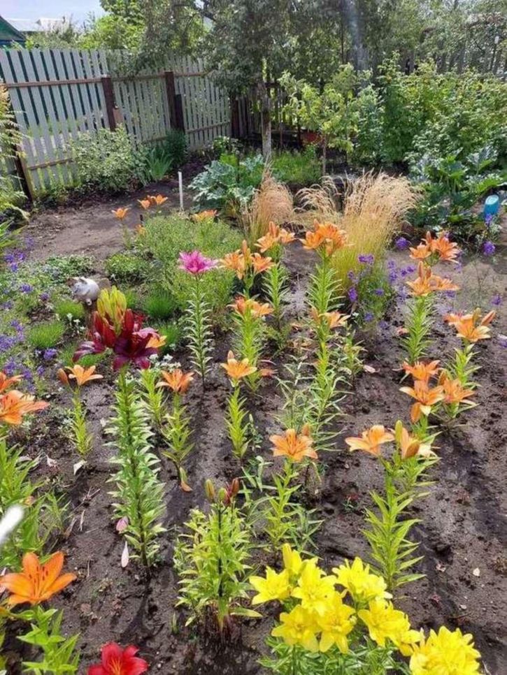 Коттедж/дом 4-я улица