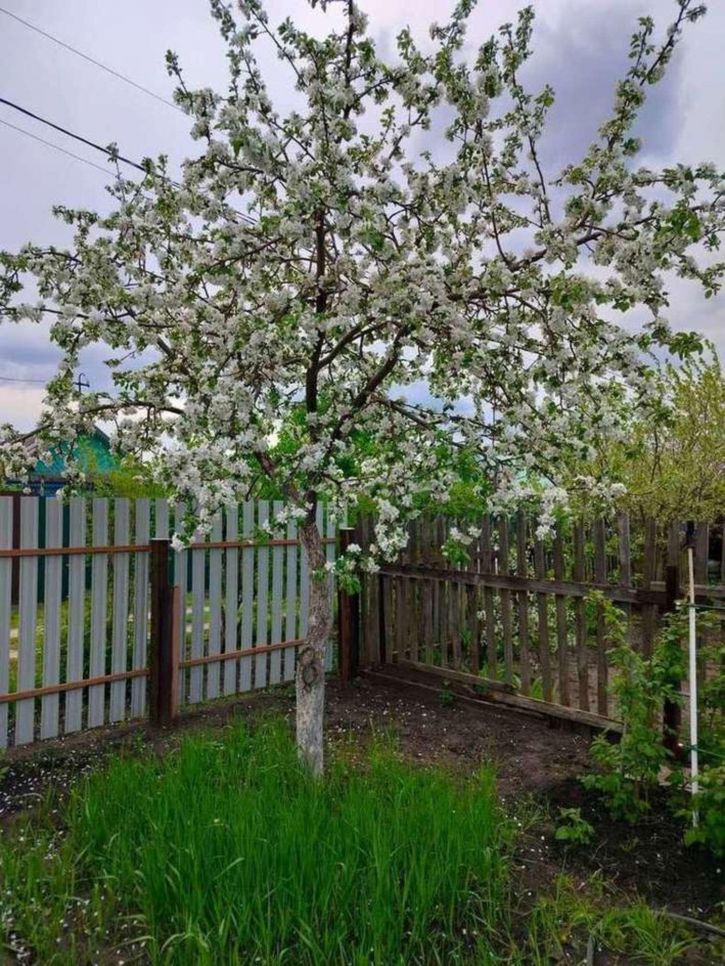 Коттедж/дом 4-я улица