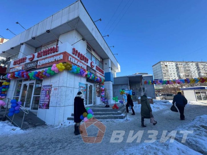 Торговое помещение Георгия Димитрова улица, 109а