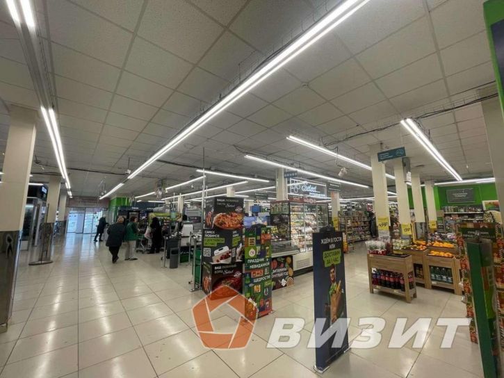 Помещение свободного назначения Ново-Садовая улица, 363кБ