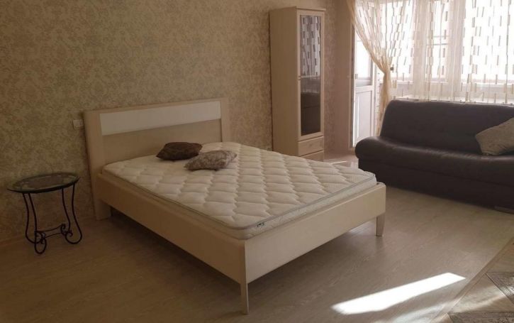 1-комн квартира Антонова-Овсеенко улица, 99