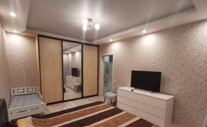 1-комн квартира Революционная улица, 101б