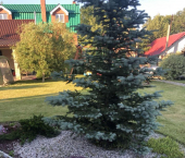 коттедж 150 кв м СДНТ Жигулёвские Сады, Дачная улица, 278