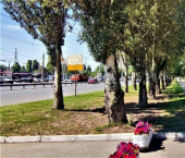 ОСЗ 2000 кв м пр-кт Кирова, 419А