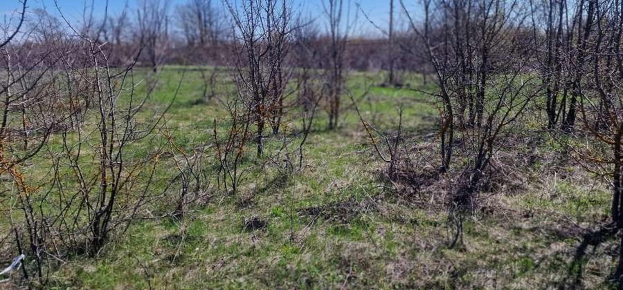 Купить землю, земельный участок за 750 000 рублей на 0-я линия