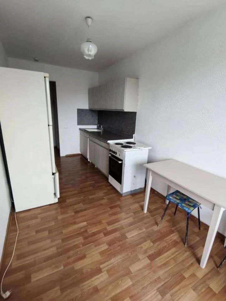 1-комн квартира Николая Панова улица, 50