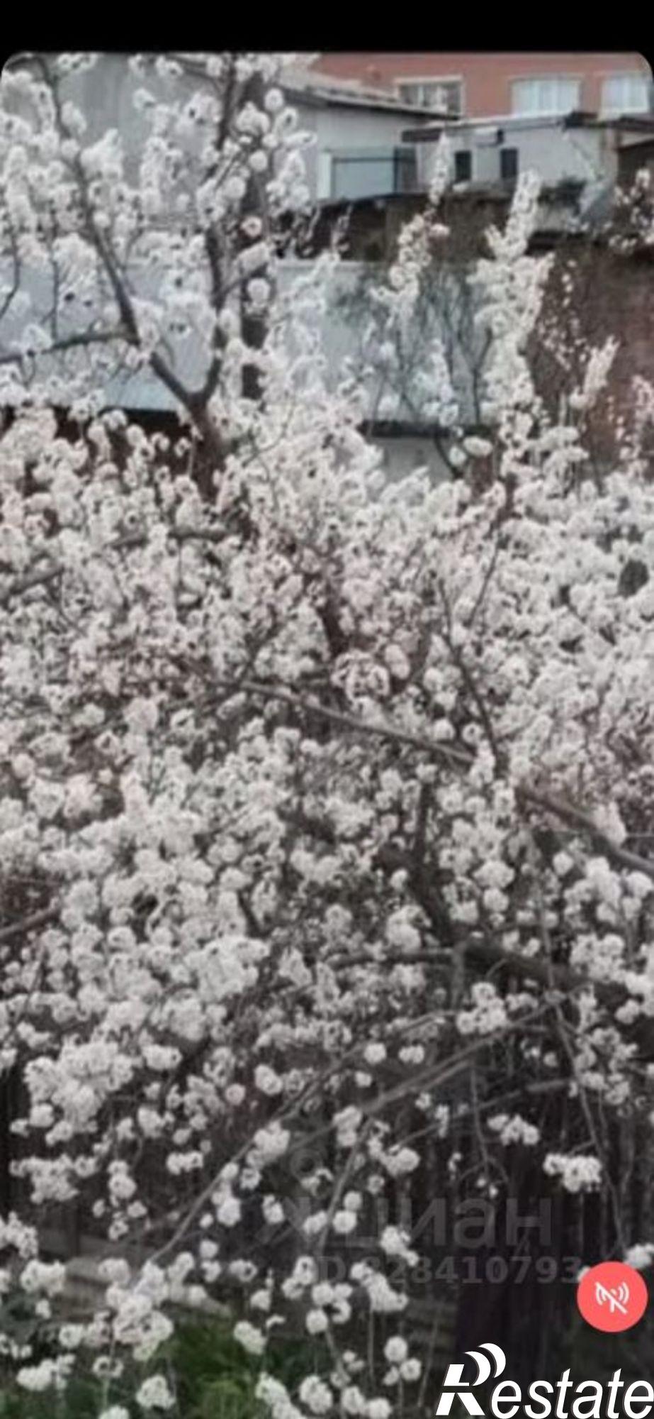 Купить дачу, дом, коттедж за 3 500 000 рублей на Миргородская улица, 3