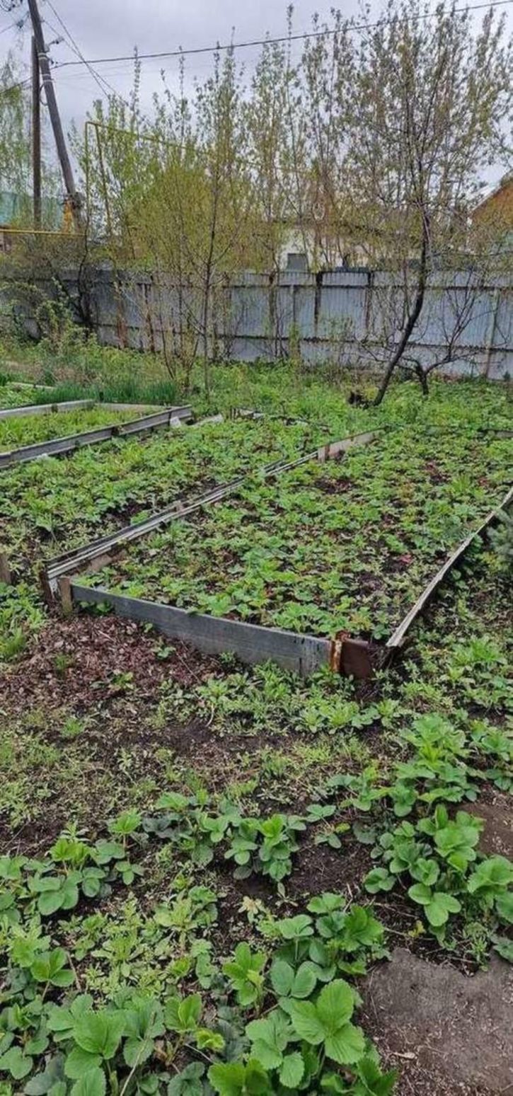 Земельный участок Карла Маркса проспект, 287