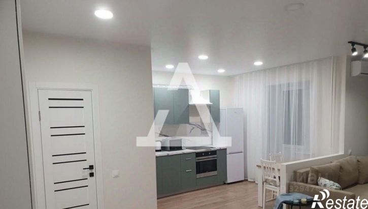 1-комн квартира пр-кт Карла Маркса, 295А,  д. 295А