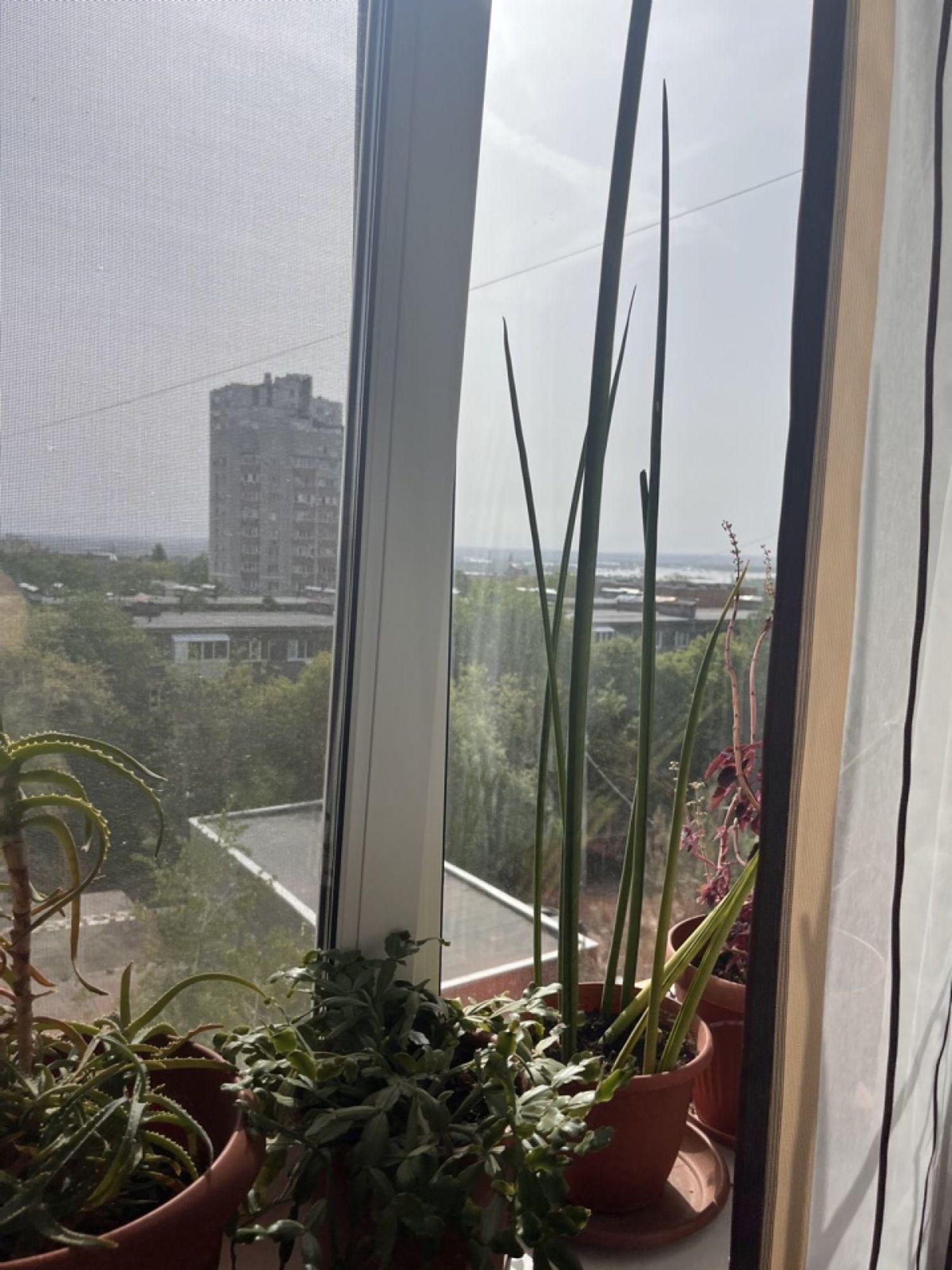 Купить квартиру за 8 450 000 рублей на Авроры улица, 61