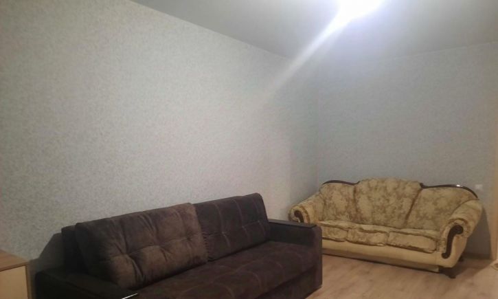 1-комн квартира Петра Алабина улица, 6