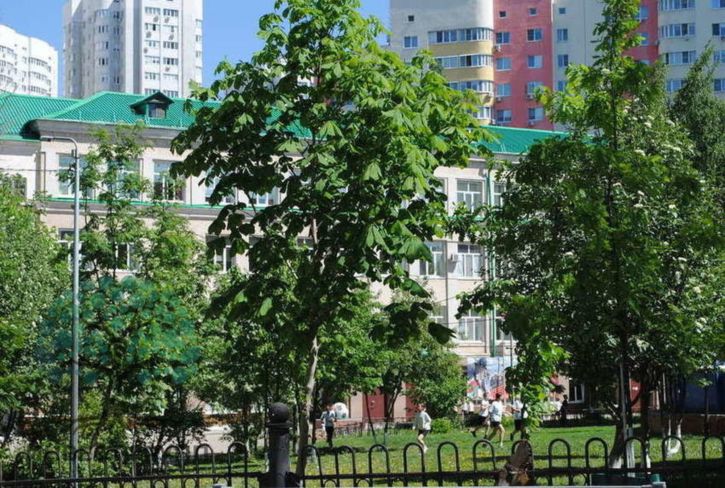 Офис Революционная улица, 75