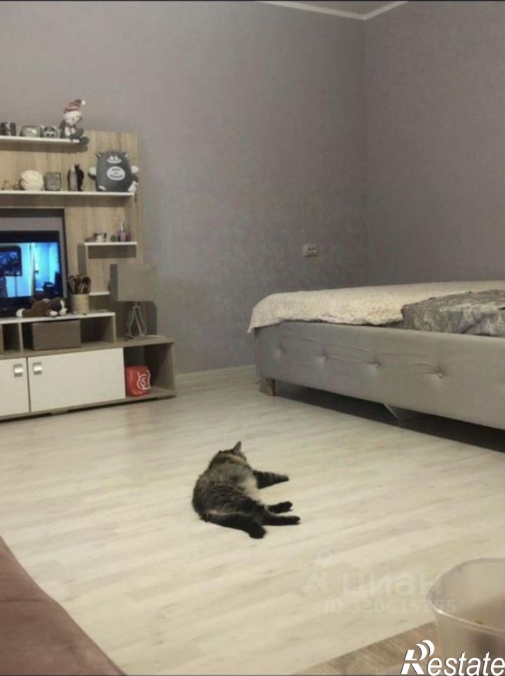 1-комн квартира Южный пр-д, 224,  д. 224