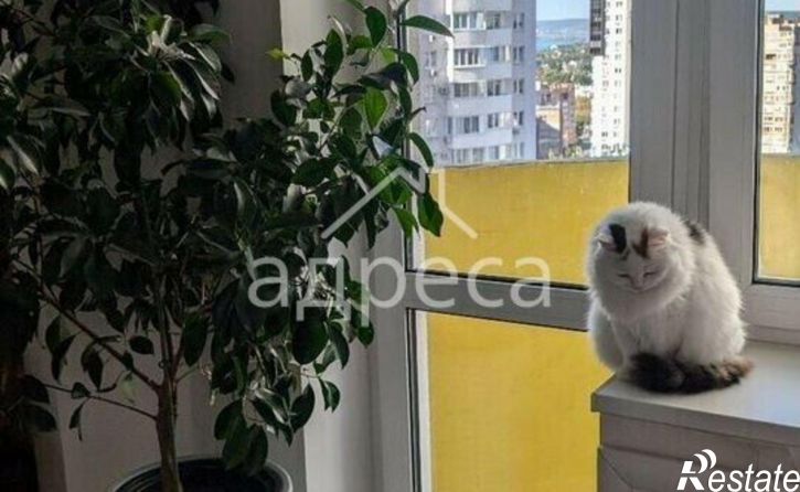 3-комн квартира ул Солнечная, 8,  д. 8