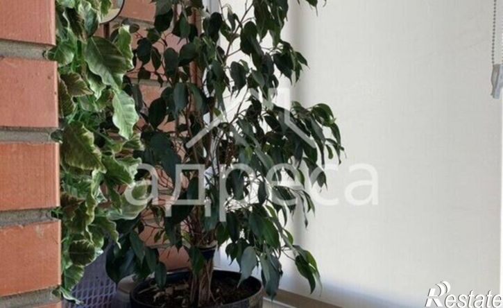 2-комн квартира улица 22-го Партсъезда, 225,  д. 225