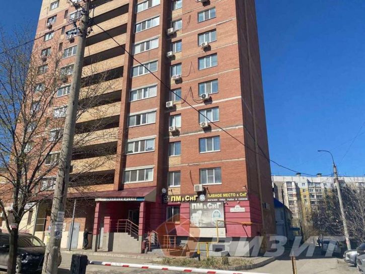 Торговое помещение Ново-Садовая улица, 252
