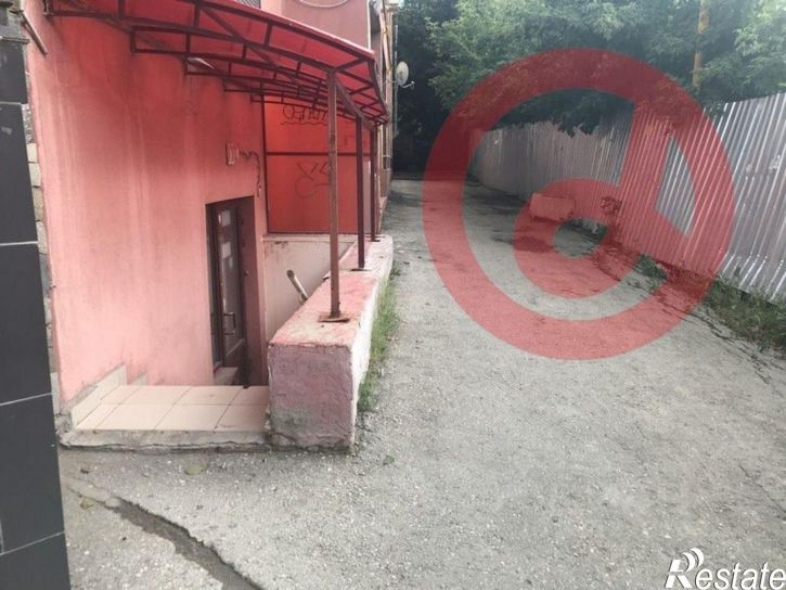 Помещение свободного назначения ул Пушкина, 223,  д. 223