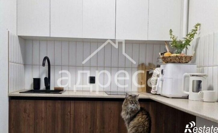 1-комн квартира ул Аэродромная, 102А,  д. 102А