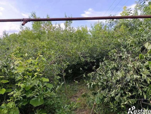 Продажа дома Газовая улица