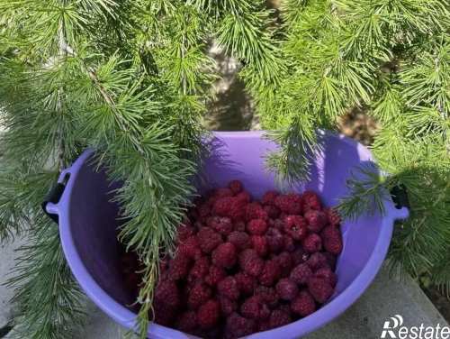 Продажа дома Петропавловская улица, 48