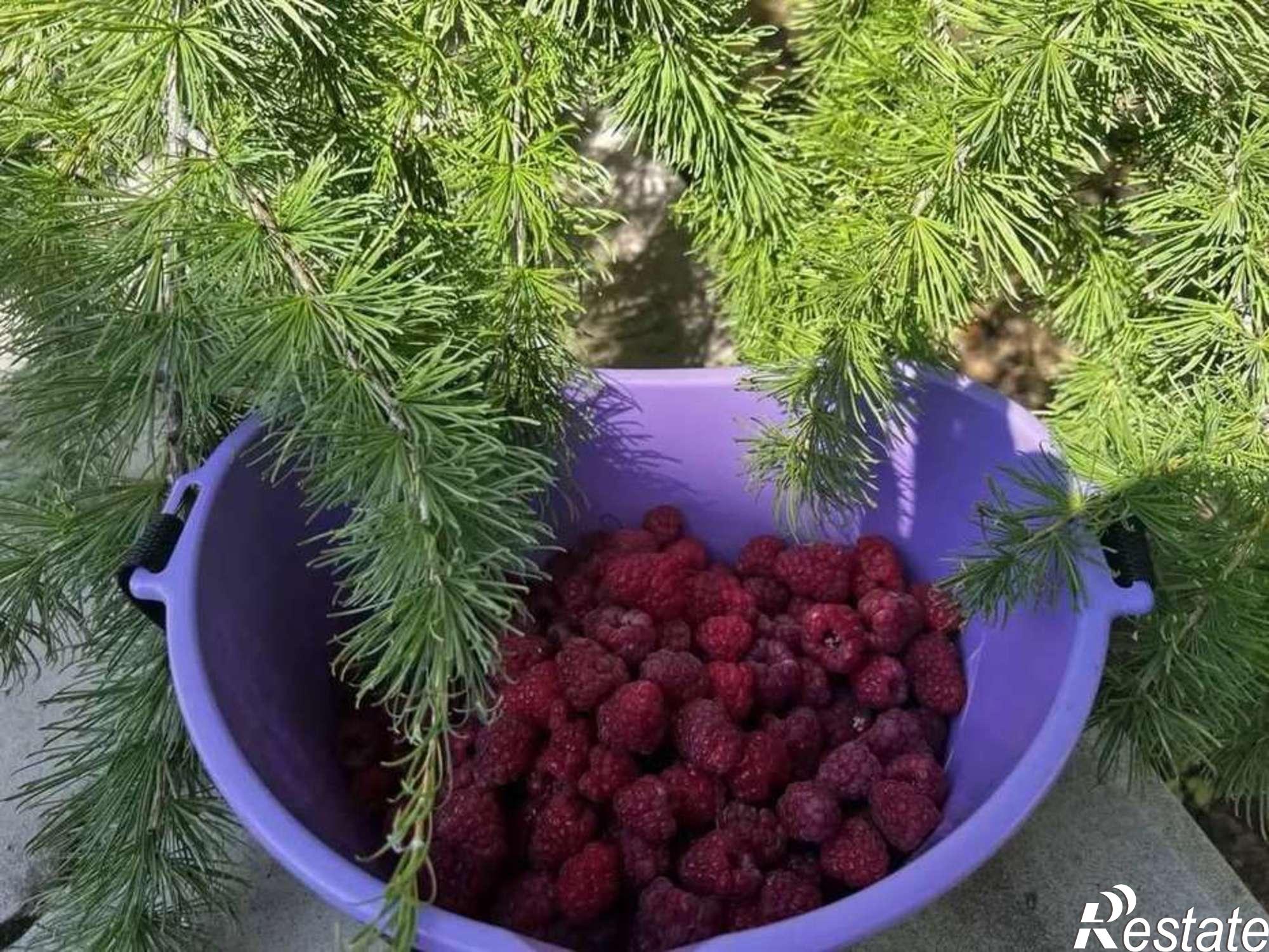 Купить дачу, дом, коттедж за 29 000 000 рублей на Петропавловская улица, 48