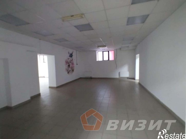 Торговое помещение Пушкина улица, 223