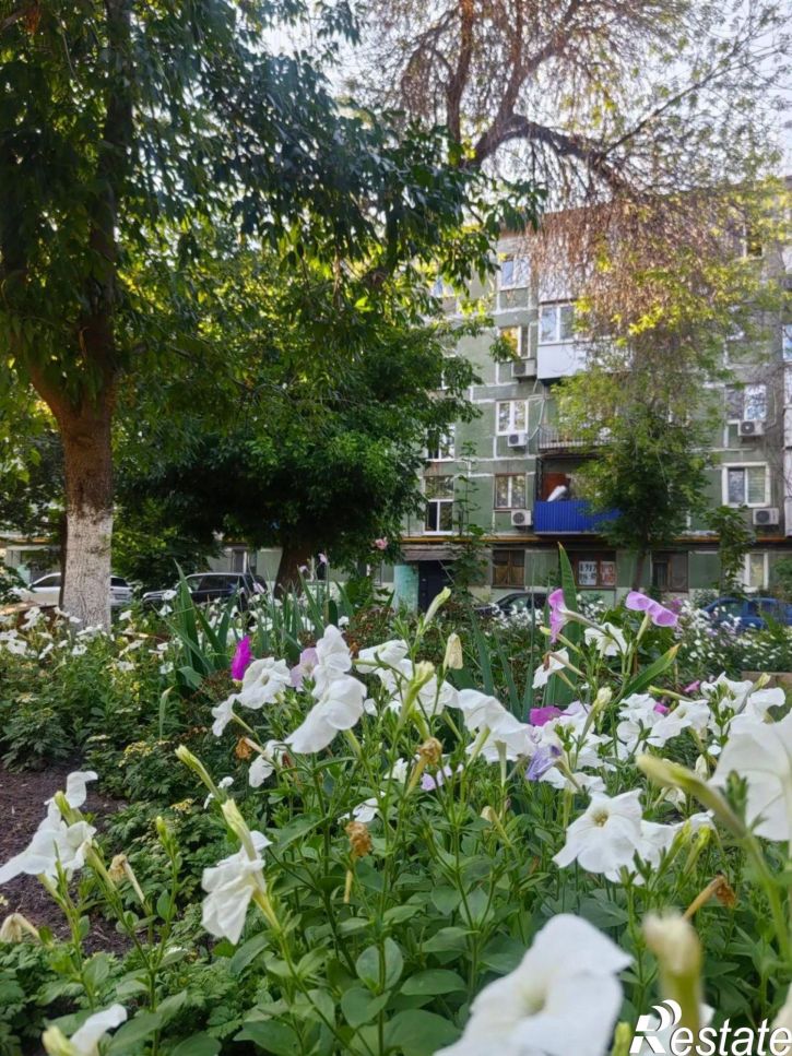 3-комн квартира Зеленая улица, 9